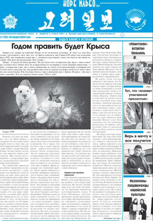 газета